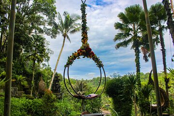 Bali Swing, Tegalalang Rice Terrace and Ubud Center