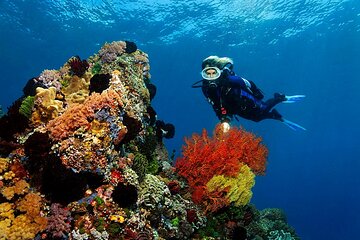 Scuba Beginner Diving and Snorkeling with Lunch From Hurghada