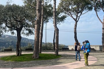 2 Hours Tour: From the Hills to the Sea of Sorrento