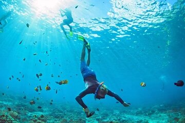 3 Hour Snorkeling and Dolphin Watching Experience in Muscat