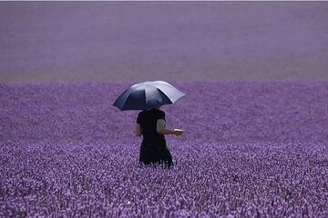 Full-day Private Tour Gorges du Verdon (LAVENDER JUNE 15/JULY 15)