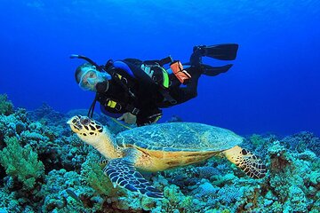 Scuba Diving Trip: Diving, Transfers, and Lunch - Hurghada