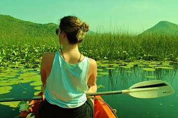 1-hour Kayak Adventure through Skadar Lake from Virpazar