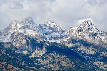 Grand Teton Half Day Tour