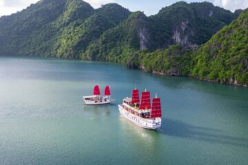 Halong Amazing Sail Luxury 1 Day Small Group Tour 7-Hour Cruising