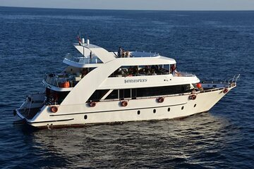 VIP Ras Mohamed and White Island boat trip