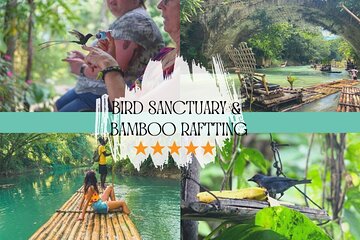 Bird Sanctuary and/or Lethe Bamboo Rafting from Montego Bay