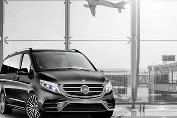 Minivan Private Transfer from Naples airport, train station to Sorrento (8 PAX)