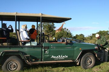 5 Days Big 5 Safari Experience at Amakhala & Addo Elephant Park