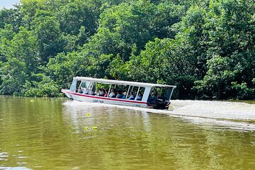 Half day Tortuguero Canal, Cahuita National Park & Puerto Limon