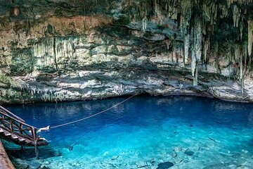 4 Cenotes Full Day Tour from Merida