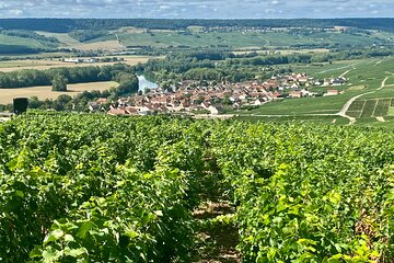 Moet et Chandon Pommery Pressoria Champagne Private trip