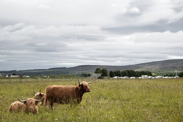 Private Full-Day Tour to the Scottish Highlands and Loch Ness