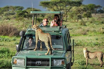 4 Days 3 Nights Samburu National Reserve Lake Nakuru Safari