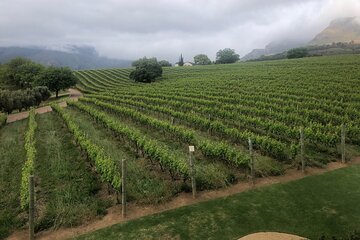 Camino Private Package wine experience PICKUP from CAPE TOWN 