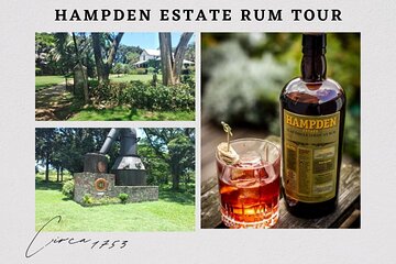 Private Hampden Estate Rum Tour from Montego Bay or Falmouth