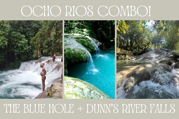 Dunn's River Falls & Blue Hole from Montego Bay or Falmouth