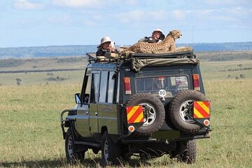 3 Days Masai Mara Sopa Lodge Luxury Safari