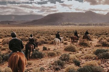 Cape Town Horseback Full Day Safari tour 