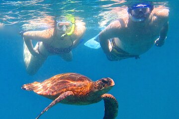 2 Hour Afternoon Sea Turtle Express Snorkel - Lahaina