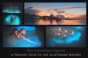 Private Tour in the Glistening Waters from Montego Bay