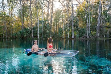 Silver Springs: Clear Kayak Wildlife Adventure