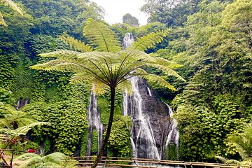 Bali Secret Waterfalls: Banyumala & Leke Leke Waterfalls