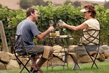  Solvang Valley Small Group All-Inclusive Wine Tour 