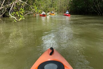 Kayak Mangrove Tour in Manuel Antonio 