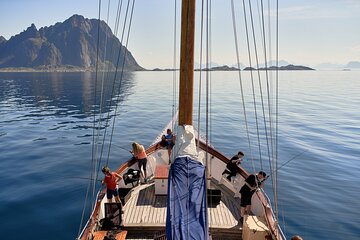 Lofoten Islands Full Day Luxury Fjord Cruise & Fishing with lunch