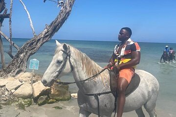 Private Dunns River Falls and Horse Back Riding 