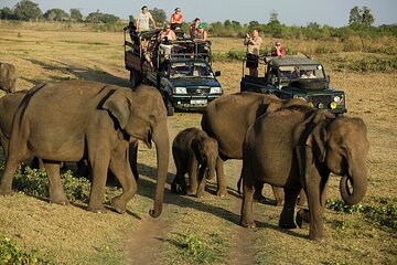 Day Excursions to Udawalawe From Bentota