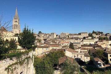From Bordeaux Vineyard Tour in Saint Emilion Half Day