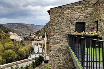 Douro Wine Tasting