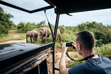 Yala National Park by Ajith Safari