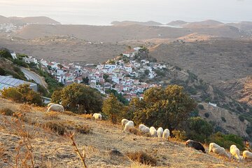Private 2-Day Tour in Kea Island and Meet the Lion