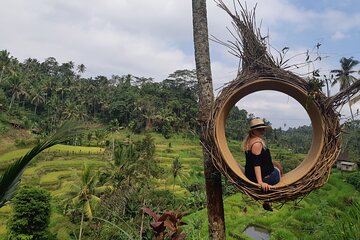 Trip Bali Ubud Full Day All Inclusive Private Tour