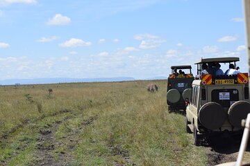 Half Day Tour in Nairobi National park