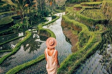 Ubud Explorer Private Day Tour