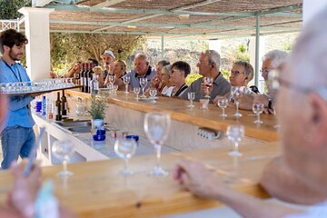 Wine tasting in Rhodes, inside the vineyards with the Producer