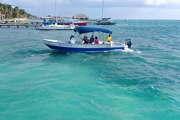 Snorkeling at Hol Chan Marine Reserve & Shark Ray Alley (3.0 Hrs)