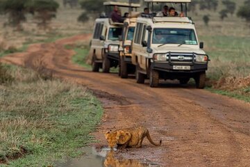 4 Days Serengeti, Ngorongoro and Tarangire Safari