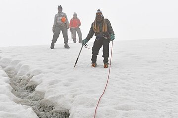 Gorilla & Rwenzori Expedition in Uganda - 15 days
