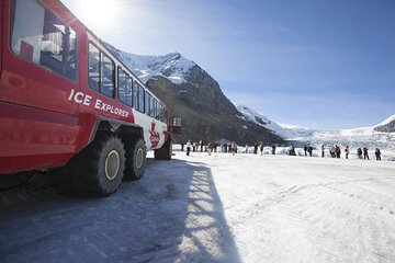 1 Day Columbia Icefield | Ice Explorer | Peyto Lake |From Calgary