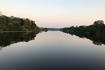 River Day Tour from Manaus