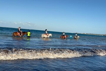 Dunn's River, Horse Back, Blue Hole Secret Falls from Montego Bay