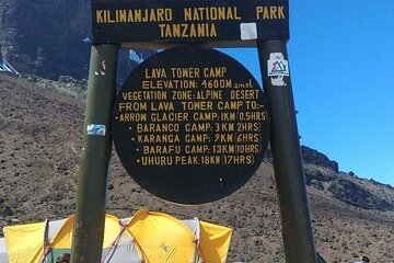 Mountain Kilimanjaro Climbing 8 Days Northern Circuit Route