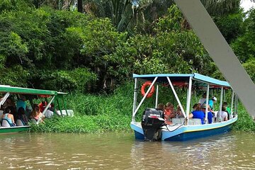 Boat Tour in Palo Verde River | Near Nicoya