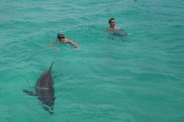 Swim with the Dolphins Boat Tour in Panama City Beach