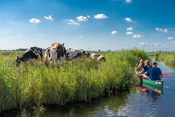 Guided Canoe Adventure with Picnic Lunch in Waterland from Amsterdam